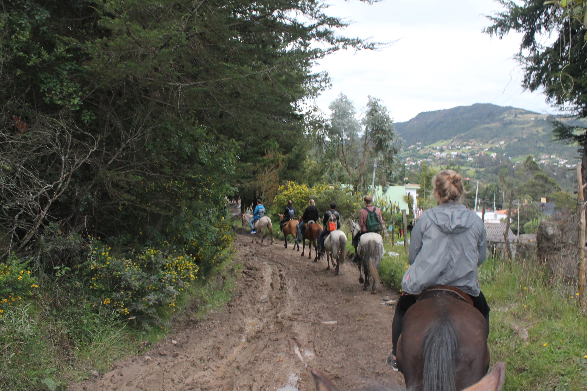 Cabalgatas en la Calera (5 razones para disfrutarlas)
