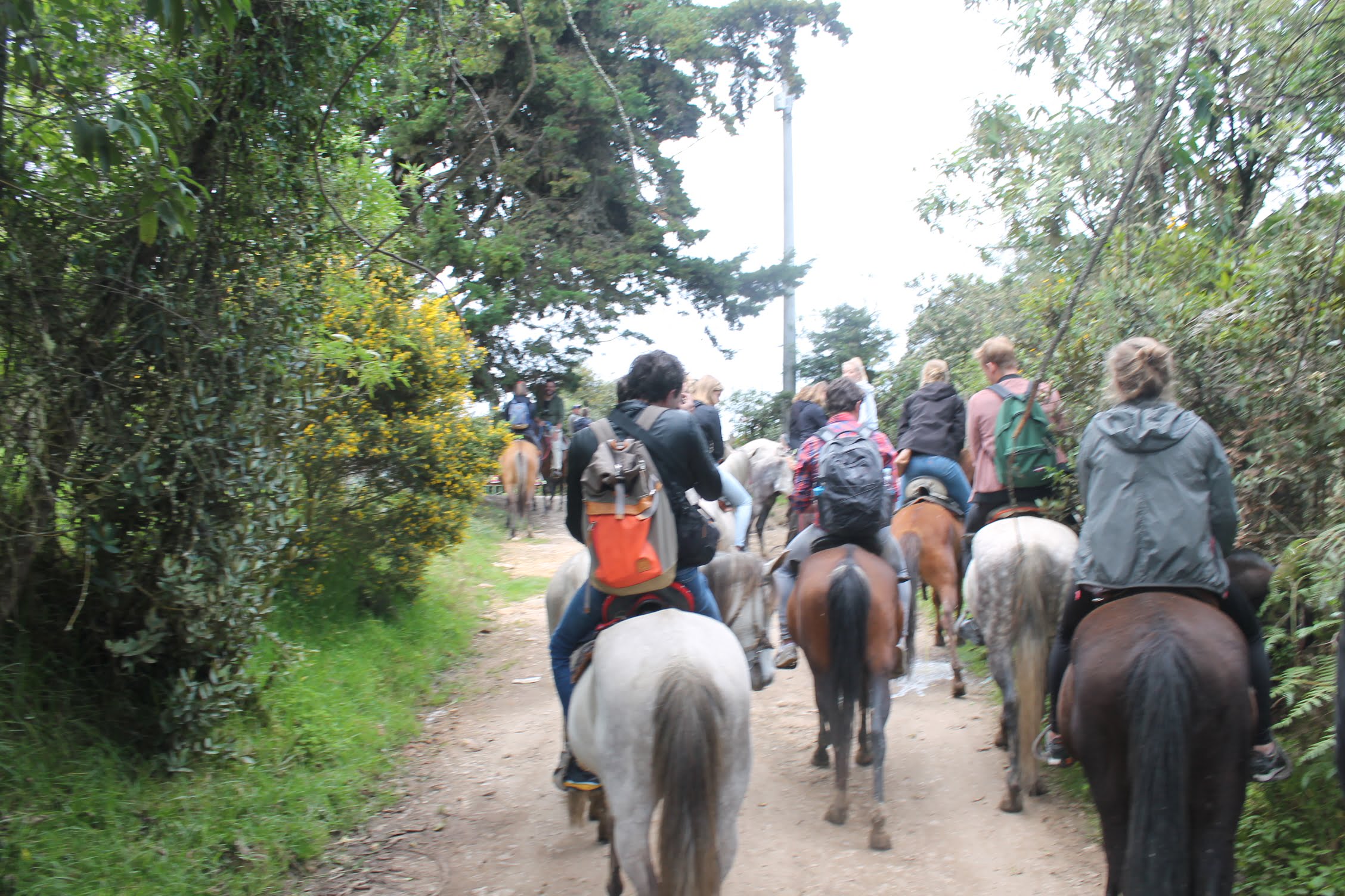 Cabalgatas en la Calera (5 razones para disfrutarlas)