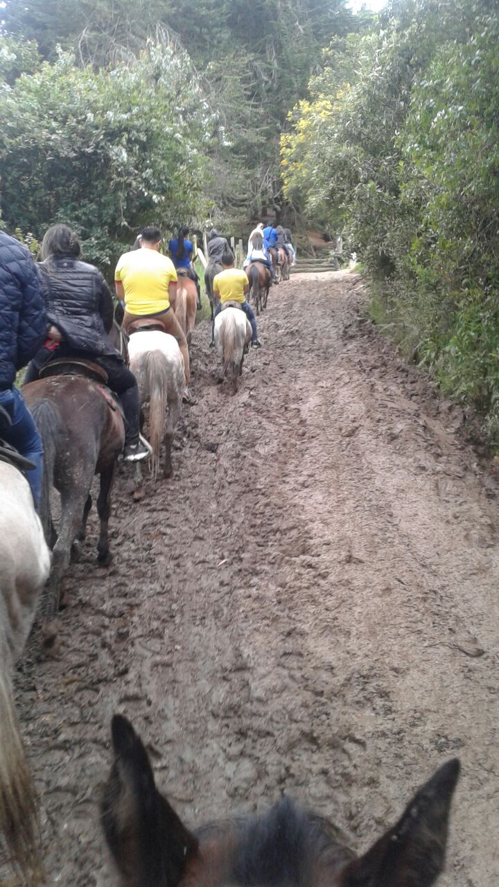 Cabalgatas en la Calera (5 razones para disfrutarlas)