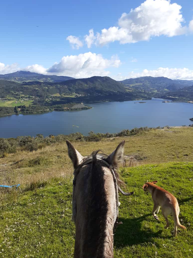 Cabalgatas en la Calera (5 razones para disfrutarlas)
