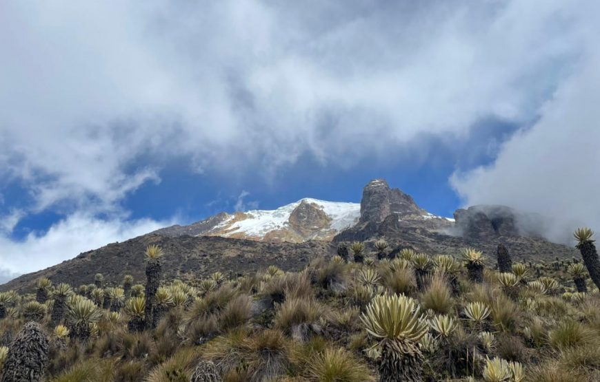 Expedición al Nevado del Tolima – Ruta Ibagué