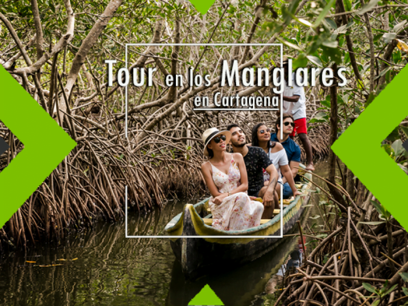 Tour y práctica los manglares cartagena