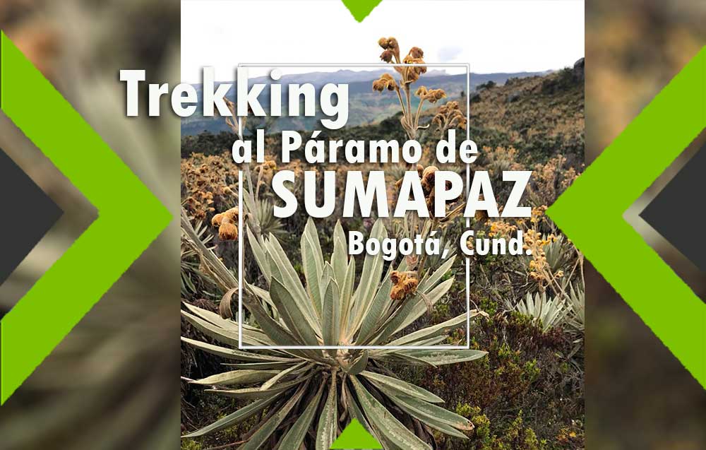 paramo del sumapaz