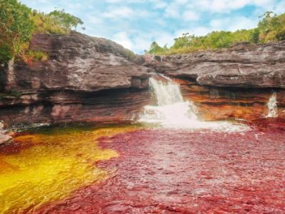 Región de la Orinoquía: por qué deberías conocerla