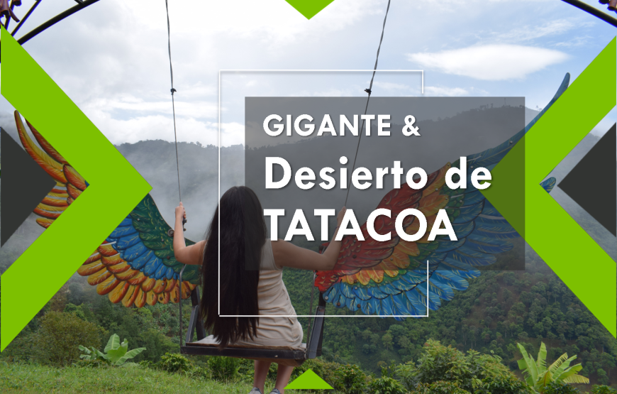 Tour Mano del Gigante y desierto de la Tatacoa