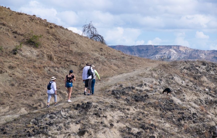 Tour Mano del Gigante y desierto de la Tatacoa