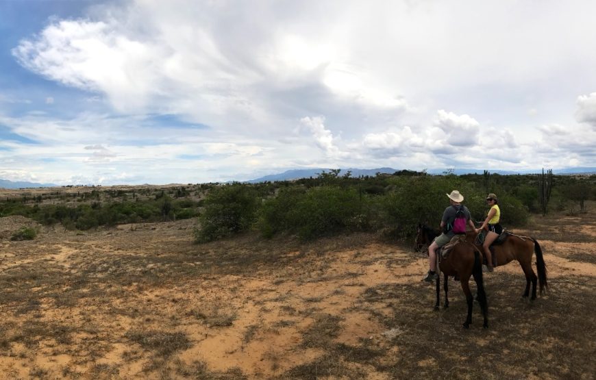 Tour Mano del Gigante y desierto de la Tatacoa