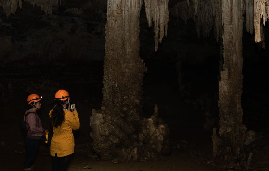 Aventura en el Peñon Santander y los bosques de pandora