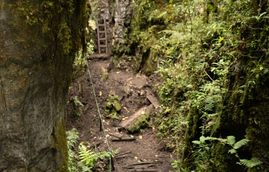 Aventura Peñon Santander y los bosques de pandora