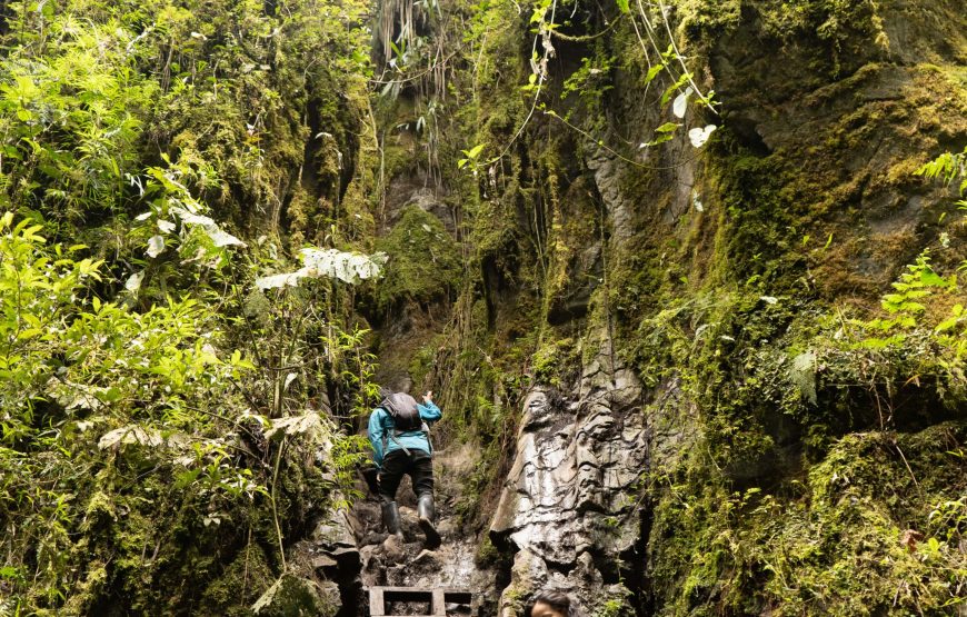 Aventura en el Peñon Santander y los bosques de pandora