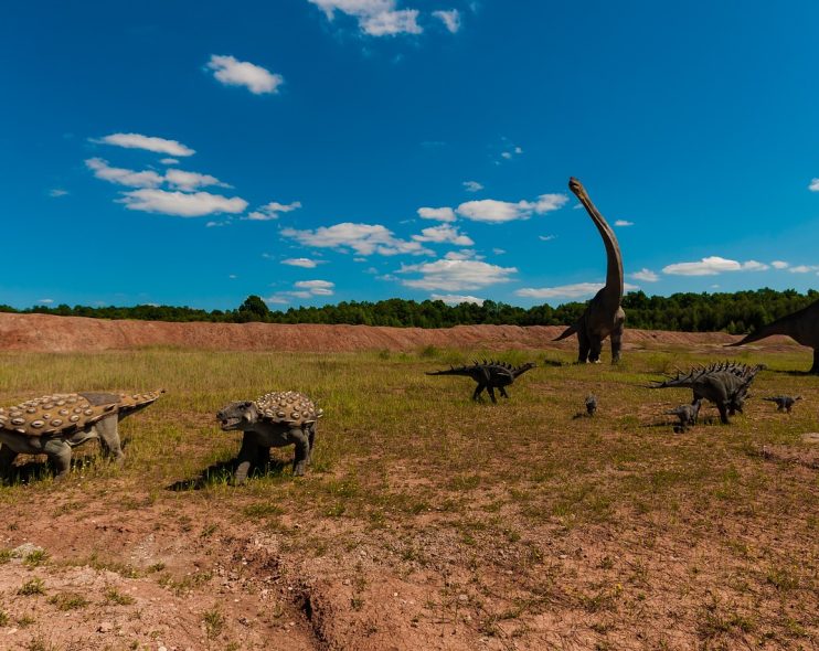 Fosil de dinosaurio en Colombia