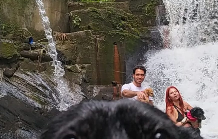 Sasaima, un día de aventura con tu mascota