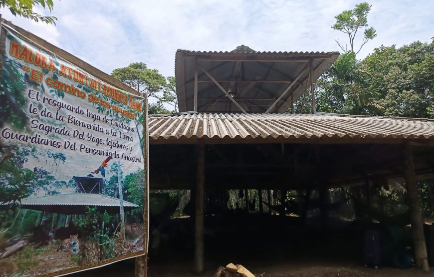 Ceremonia de Ayahuasca en Putumayo