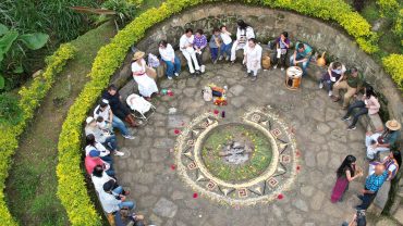 Beneficios de la ayahuasca o yagé