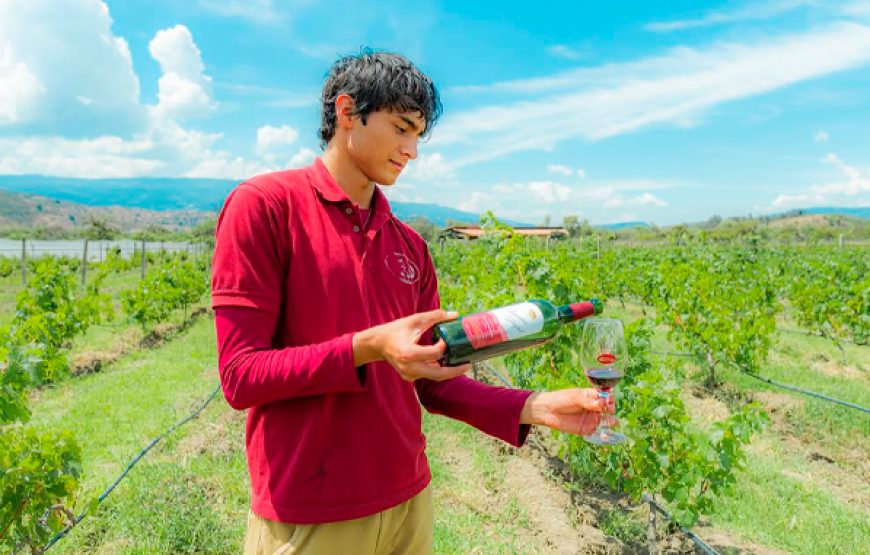 Villa de Leyva romántica: Viñedo, Termales y City Tour