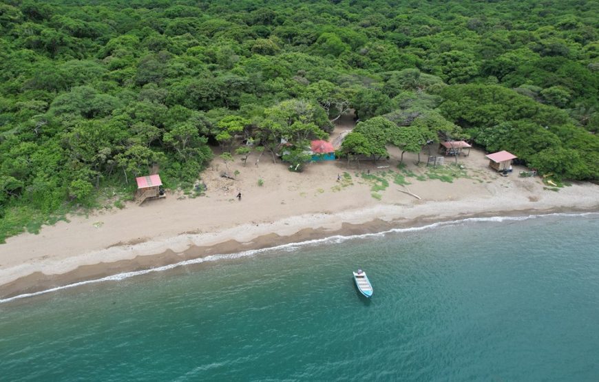 1 día en Parque Tayrona Exclusivo: Escoge tu Aventura en Gairaca y Playas Vírgenes