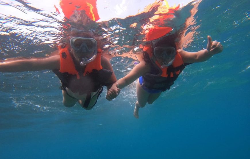 1 día en Parque Tayrona Exclusivo: Escoge tu Aventura en Gairaca y Playas Vírgenes