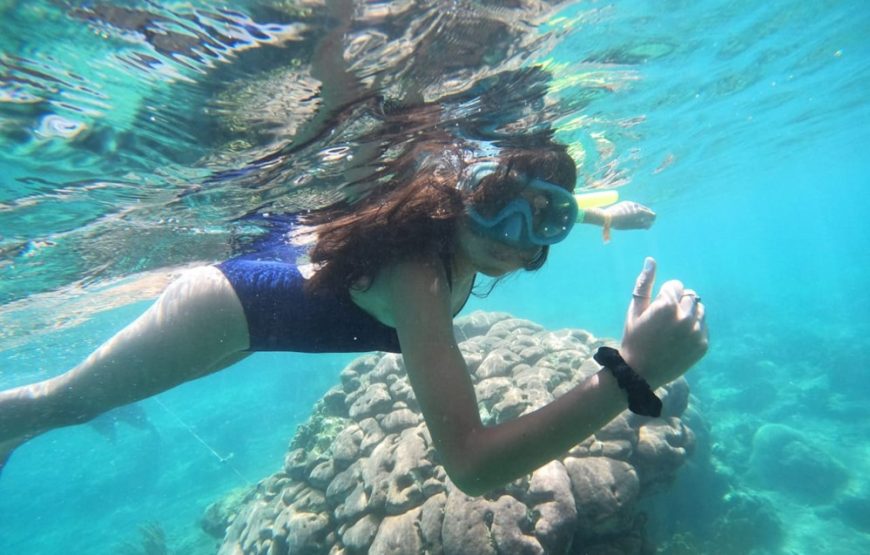 1 día en Parque Tayrona Exclusivo: Escoge tu Aventura en Gairaca y Playas Vírgenes